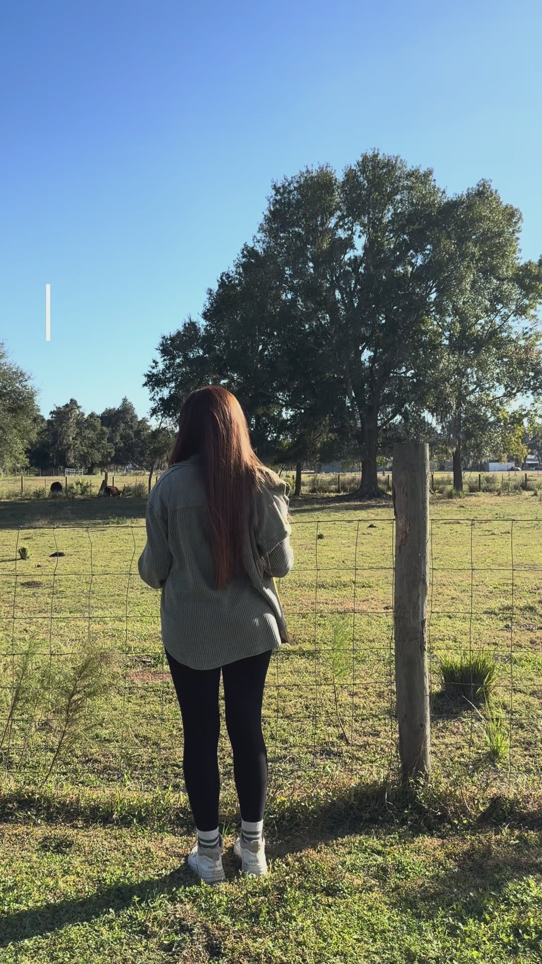 Prince of Peace Christmas Tree